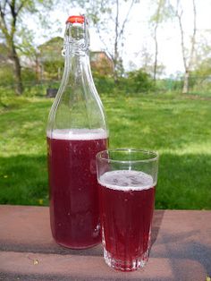 Fermentation